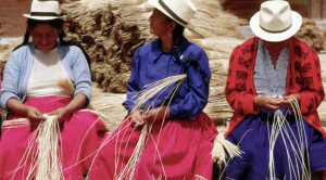 Panama hats production