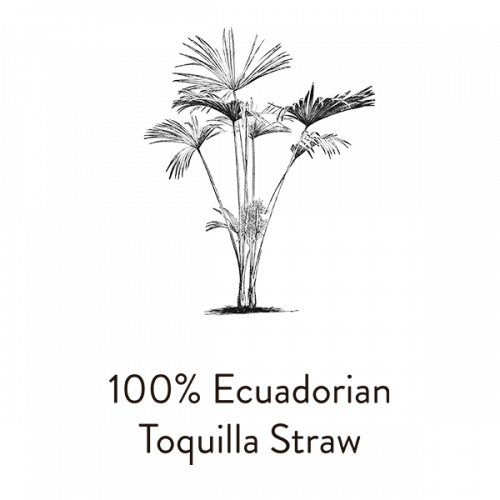 toquillastraw1